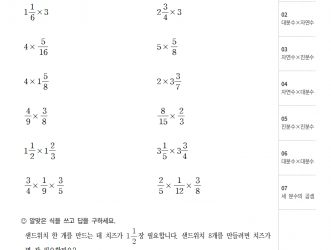 5-2-2 분수의 곱셈 (문제)