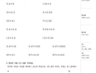 5-2-4 소수의 곱셈 (문제)
