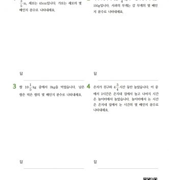 6-1-1 분수의 나눗셈 10 문장제 중급 D 문제