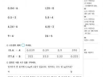 6-1-3 소수의 나눗셈 (문제)