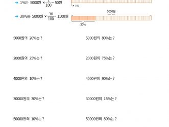 6-1-4 비와 비율 11 백분율 특집 F 문제