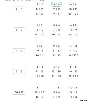 6-2-4 비례식과 비례배분 01 비의 성질 알아보기 C 문제