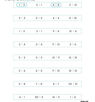 6-2-4 비례식과 비례배분 01 비의 성질 알아보기 D 문제