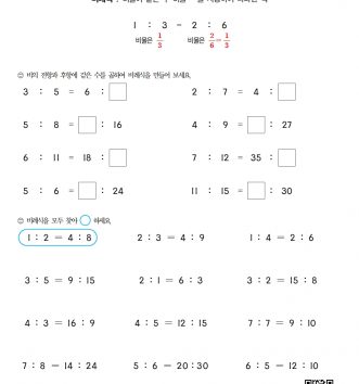 6-2-4 비례식과 비례배분 06 비례식 알아보기 A 문제