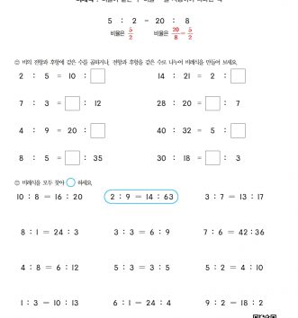 6-2-4 비례식과 비례배분 06 비례식 알아보기 C 문제