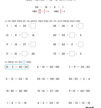 6-2-4 비례식과 비례배분 06 비례식 알아보기 D 문제