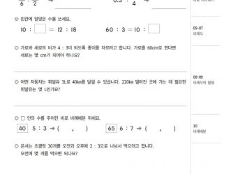 6-2-4 비례식과 비례배분 (문제)